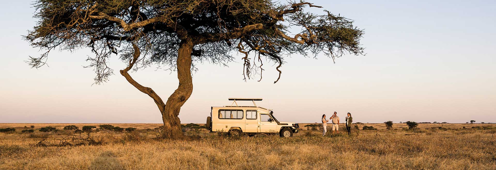 Africa Tanzania Sundowner Guest m