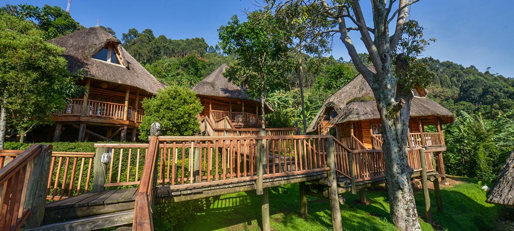 Africa Uganda Bwindi trackers safari lodge Exterior