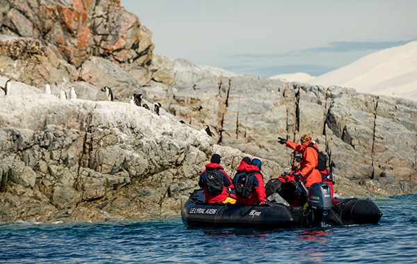 Our Climate Expert Explains Antarctica’s Ecology